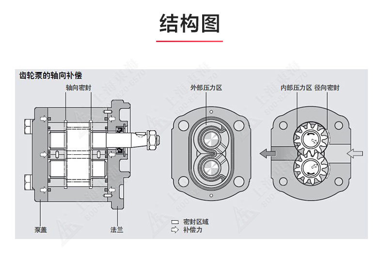 2CY型齿轮油爱体育（中国）_爱·体育结构图.jpg